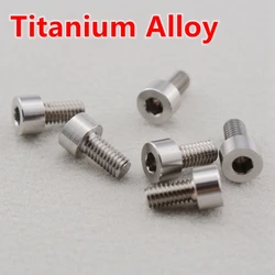 1 Set (3 Pieces) Titanium Alloy Electric Guitar Tremolo System Bridge Locking Nut Screws -  JP(Origin)