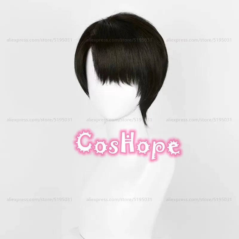 5;c'6,g'8\b/Levi Ackerman Men 30cm Short Black Brown Wig Anime Cosplay Wigs Heat Resistant Synthk;9'r.5\2/s, - view 4