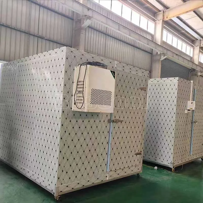 Stanza frigorifera mobile Facile da usare Coolroom Conservazione frigorifera commerciale con ripiani mobili per uso al dettaglio e in negozio