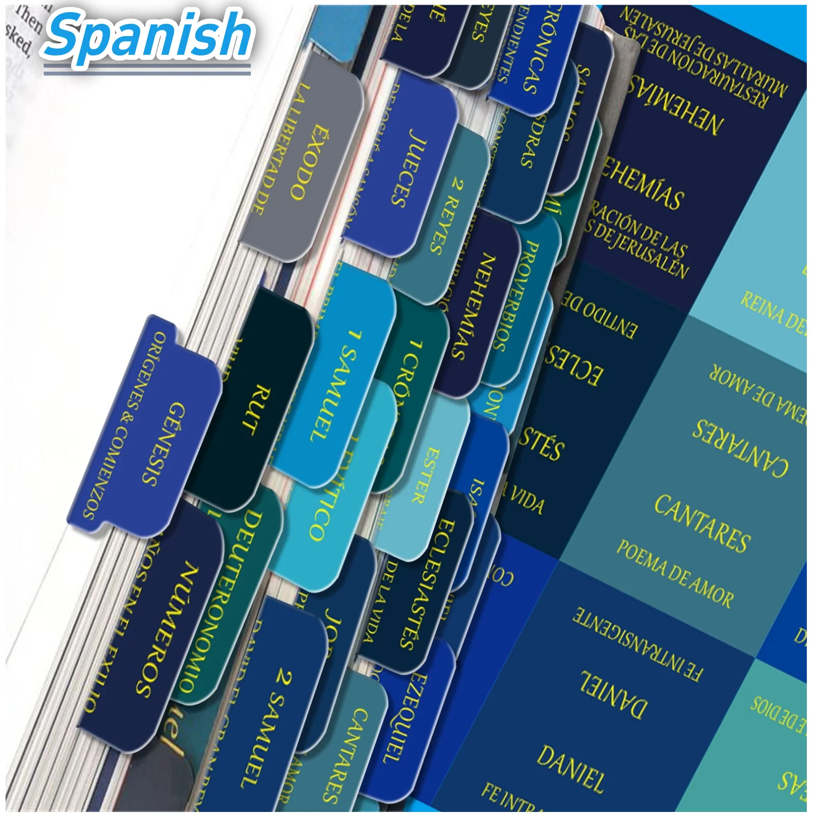 

75pcs Spanish Large Print Bible Tabs - Soul Nourishing Book Summaries - Bible Tabs for Women Study Bible, Royal Blue