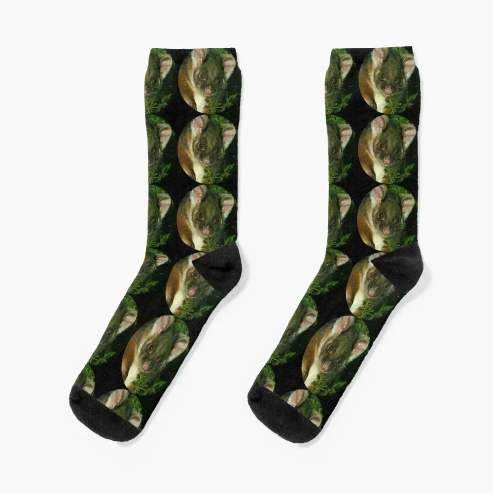 Ringtail Possum portrait Socks snow gifts Stockings christmas gift Socks For Women Men's