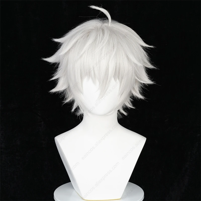 Anime Seishiro Stationary i Cosplay Perruque, Perruques Courtes Blanches Argentées, Degré de Chaleur, Cheveux Synthétiques, 30cm