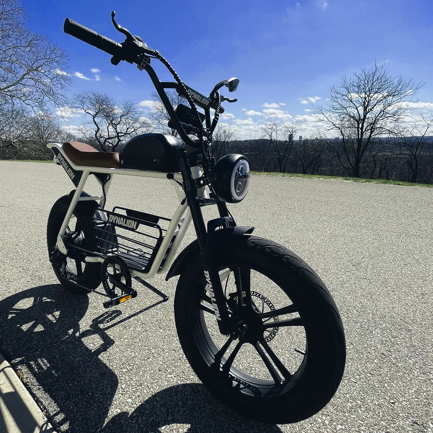 Electric Bike Ebike 100Km Range 1000W Electric Bike