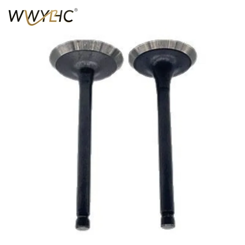 Suitable for EX17 Engine Intake and Exhaust Valves