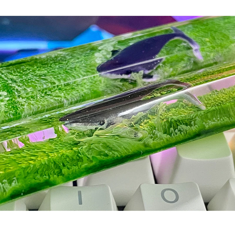 مفتاح مفتاح ecome للحوت ، سبيب - مراجعة Keycaps Spacebar 6.25U Custom وسعره