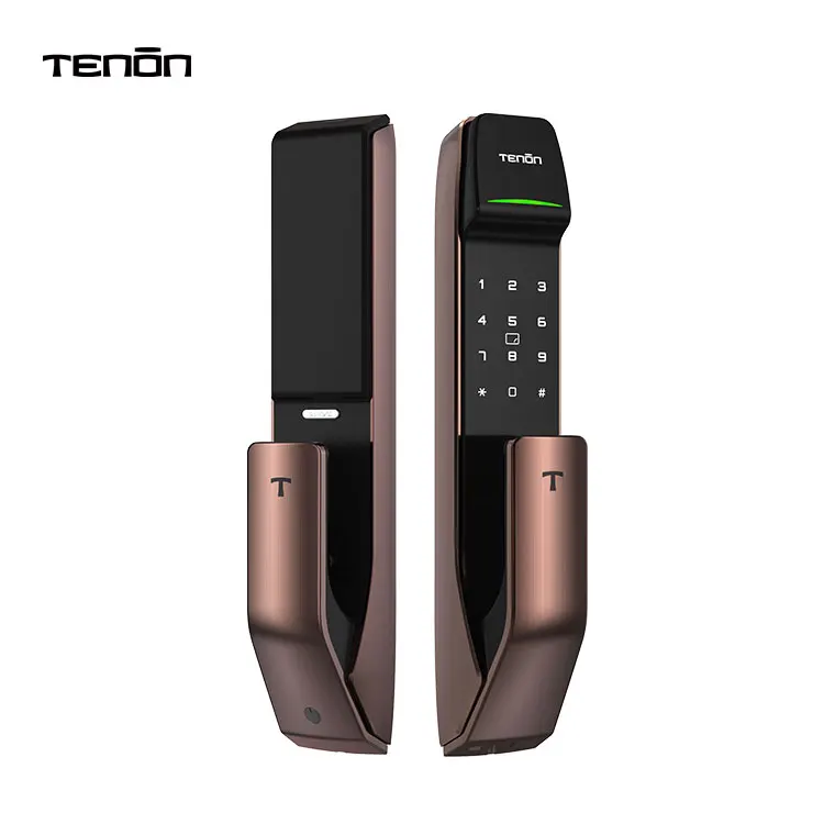 Tenon A2C Tuya Bluetooth Electric Finger Print Gate Lock Waterproof Keyless Doorlock Smart Push Pull Digital Door Locks