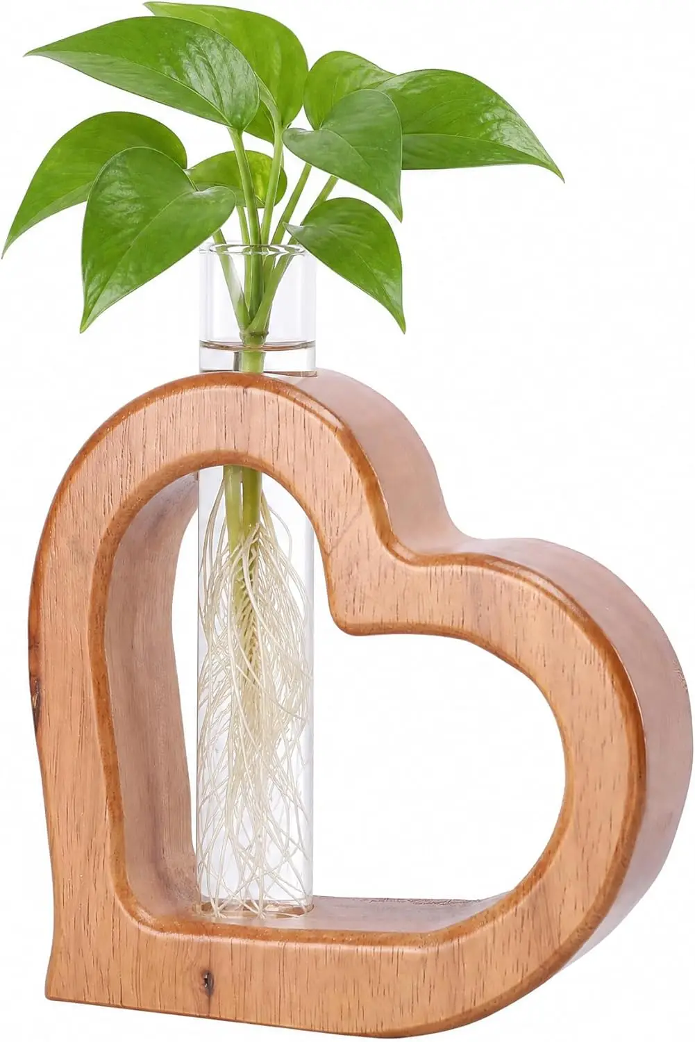 

Wall Hanging Plant Propagation Station with Glass Test Tubes - Indoor Plant Stand for Home Decor, Gift for Women