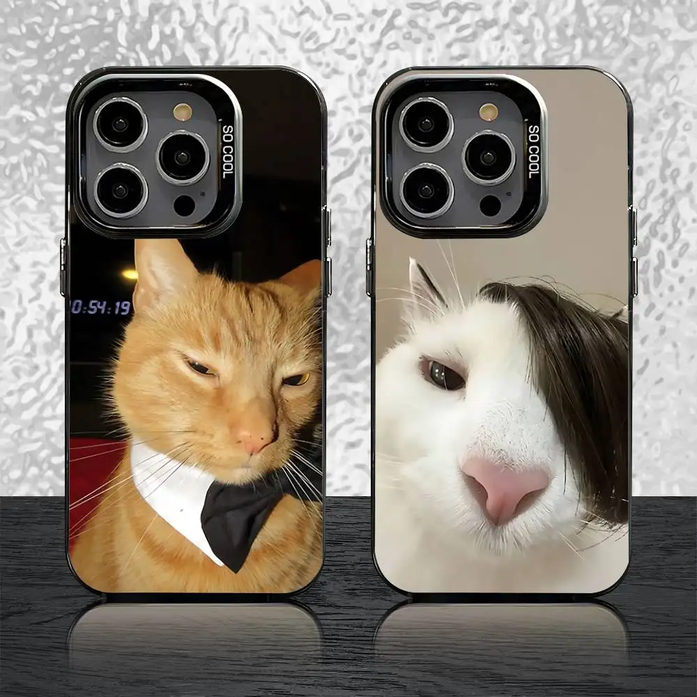 

Cute Cat Memes Phone Case For iPhone 16,15,14,13,12,11,Pro,Max,Plus,Mini,SE Grey Black Matte Laser Back Cover