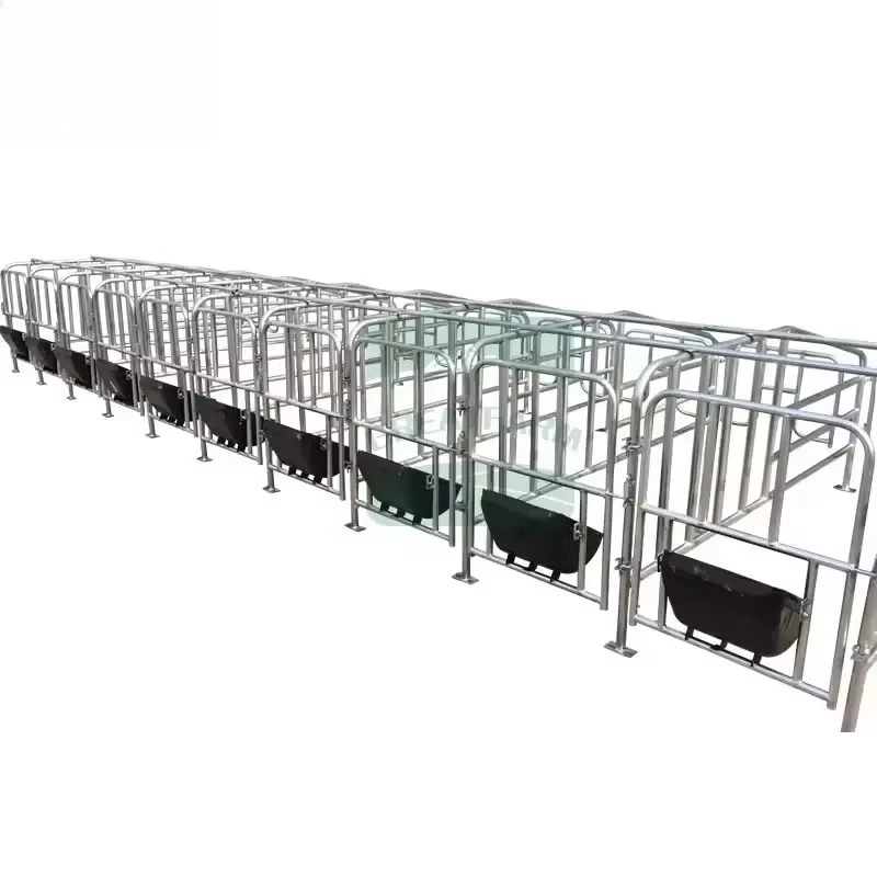 Hot Dip Galvanized Steel Pipe Pig Gestation Stall Pregnancy Cage Pen Cage for Pregnant Sow Cage