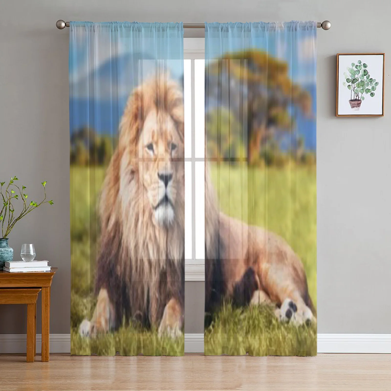 

Lion Lying On Savannah Grass Sheer Curtains For Bedroom Exquisite Voile Curtain Living Room Kitchen Chiffon Fabric Curtains