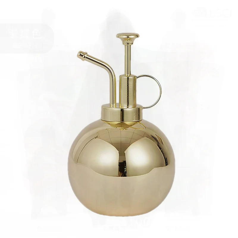 

Stainless Steel Mini Spray Kettle for Gardening Matte Black/Bright Gold/Bright Red Copper 500ML Household Watering Can Flower