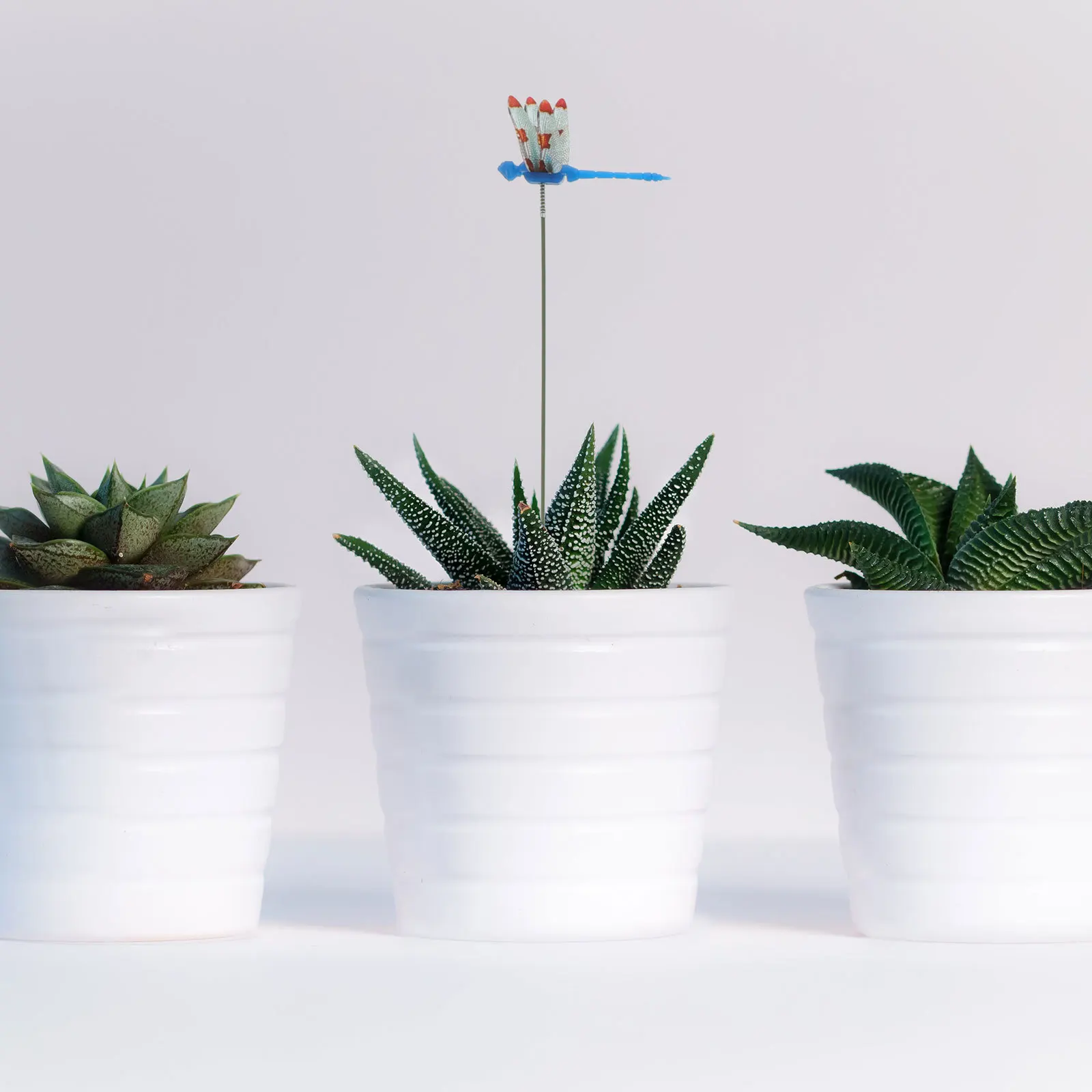 50 قطعة من أوتاد اليعسوب للحديقة، مادة PVC عالية الجودة، مظهر واقعي لتزيين النباتات الداخلية والخارجية، حصص اليعسوب