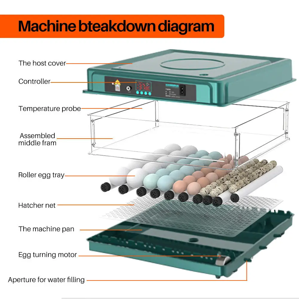 Automatic 38 Egg Capacity Couveuse Oeuf Automatique Egg Incubator Automatic