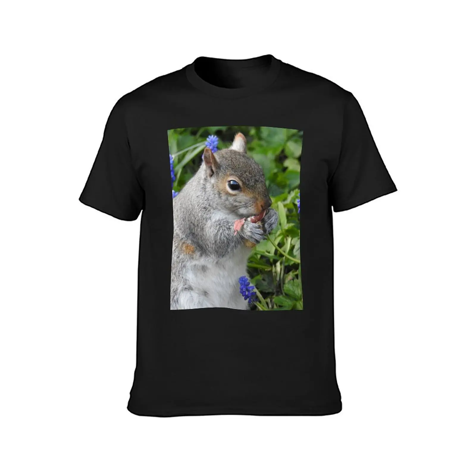 Grey squirrel having lunch. T-Shirt graphics animal prinfor boys workout shirts for men