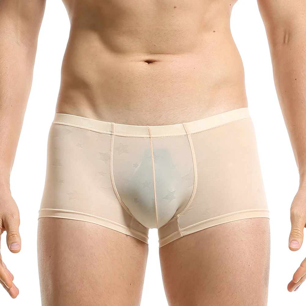 Sexy Mens Trunks Thin Translucent Underwear Sexy U Convex Pouch  Shorts See-throughs Briefs Underpants Panties Homme