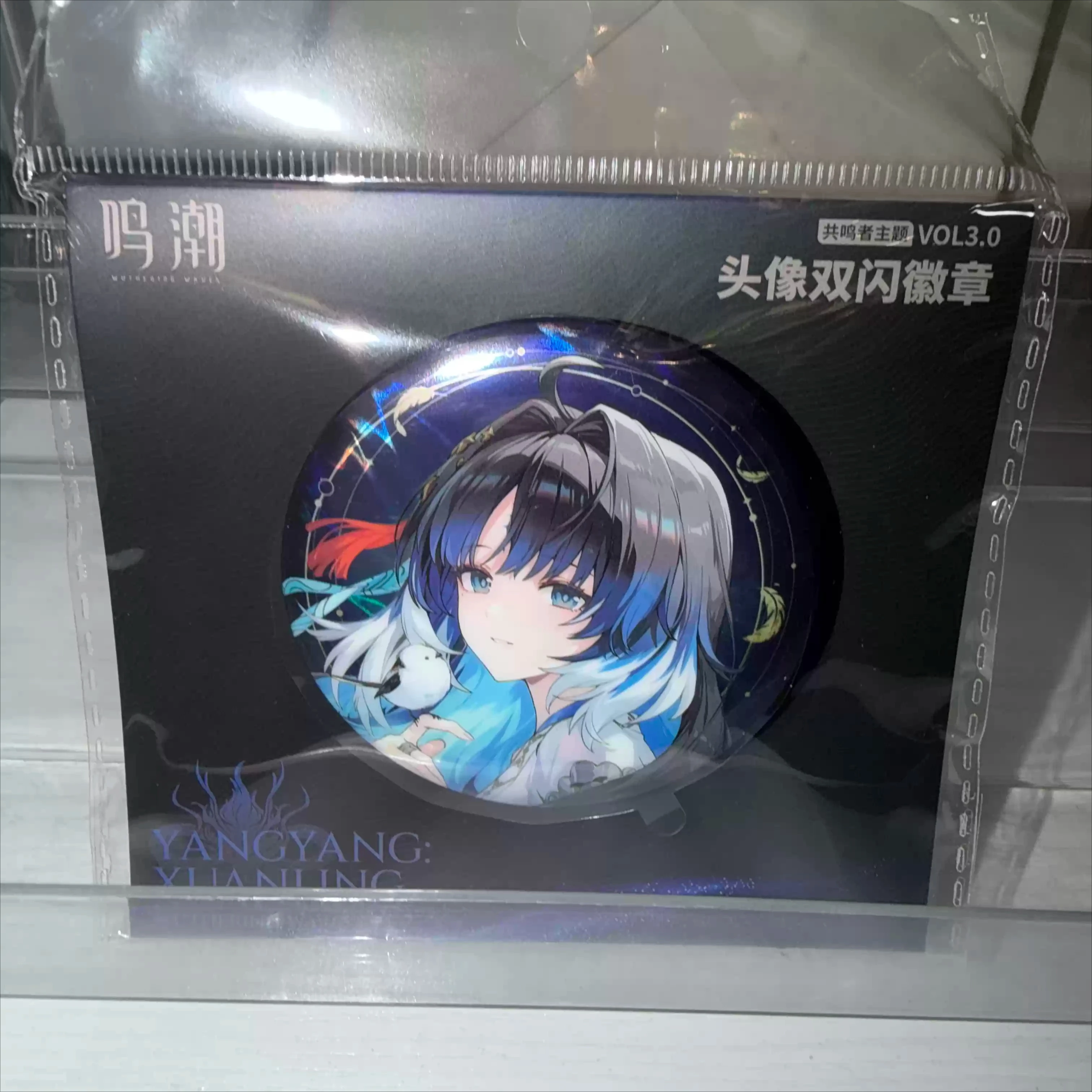 

Wuthering Waves Yangyang Suisui Cosplay Anime Tinplate Badge Brooch Acrylic Brick Desktop Ornament Game Official Gifts Kawaii