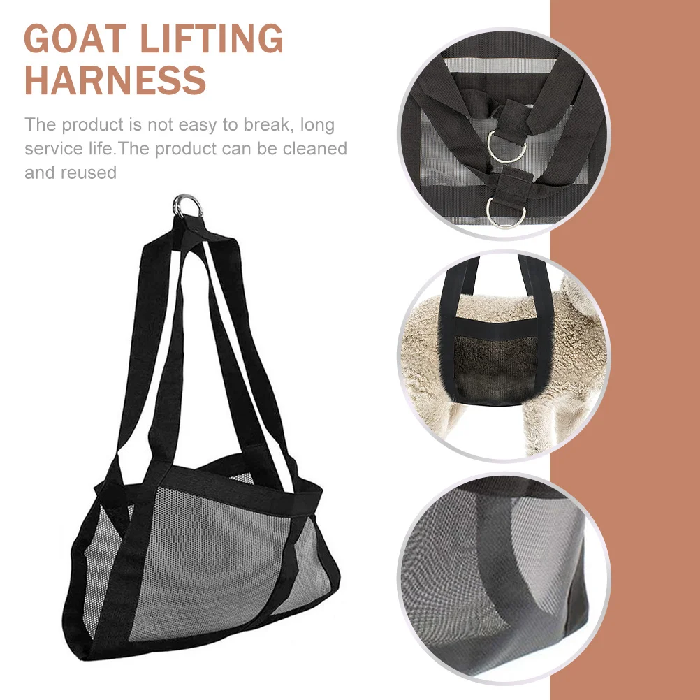 Small Animals Pet W… - image