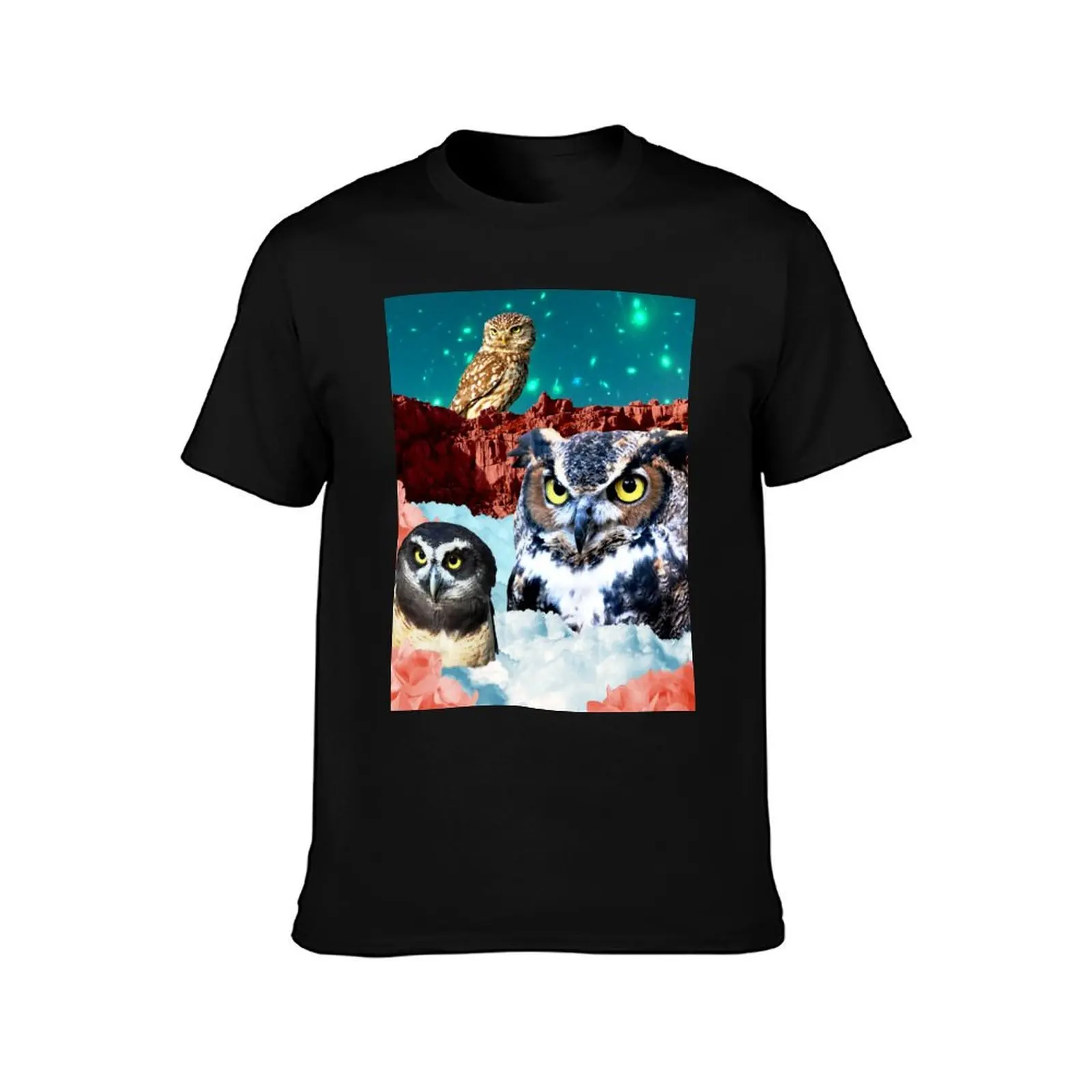 Kindly Owl Gods of the Red Mesa T-Shirt Summer Casual Cotton Tee Oversized Streetwear Tops Vintage Graphic Print 100% Cotton
