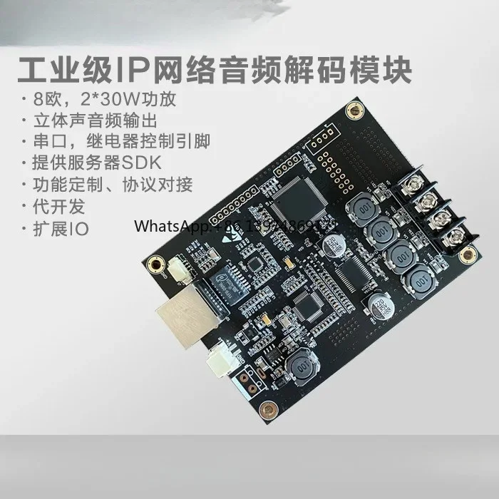 IP Broadcast Audio Module IP Network Pillar / Speaker Dedicated 2x30W Network Power Amplifier Network Decoder