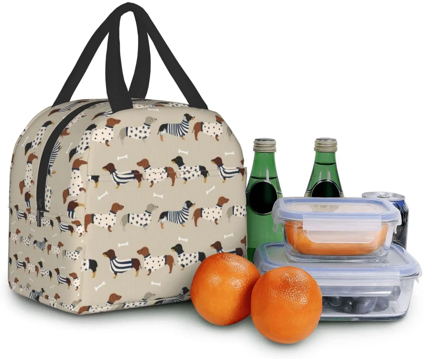 Dachshunds Insulated Tote Lunch Bag for Women & Men, Reusable Portable Thermal Cooler Box for Work Picnic Travel