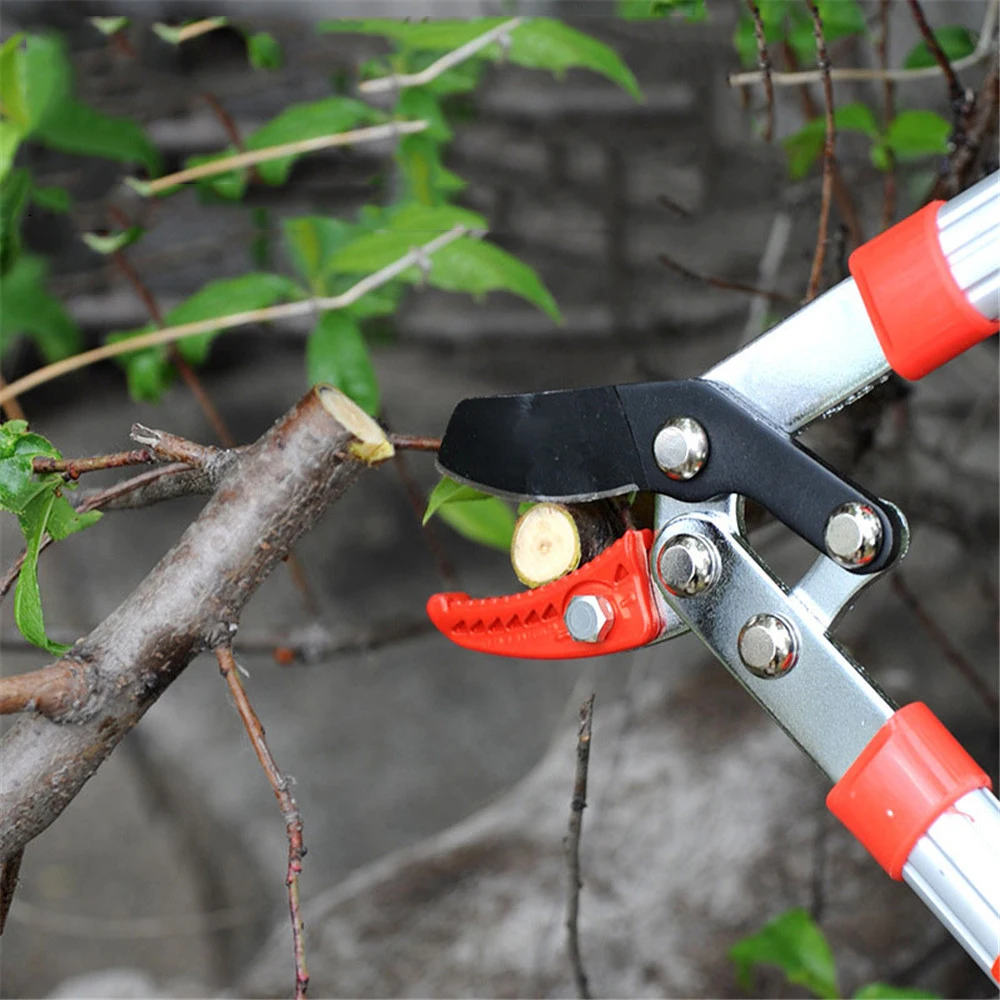 

Pruning Tools Scissors Tree Ratchet Lopper Pruner Extending Garden Cutter Branch Shear Garden Hand Tools Gardening