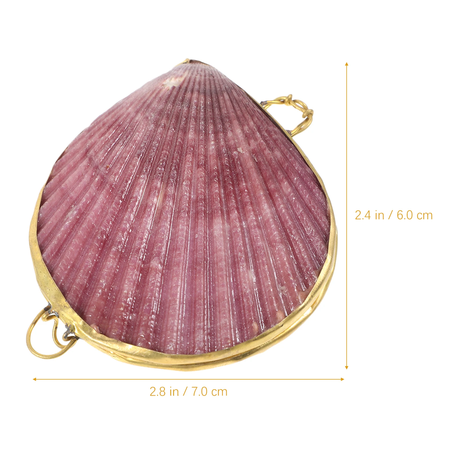 Shell Storage Box Trinket Case Jewelry Cases For Seashell Accessories Sundries Decorative