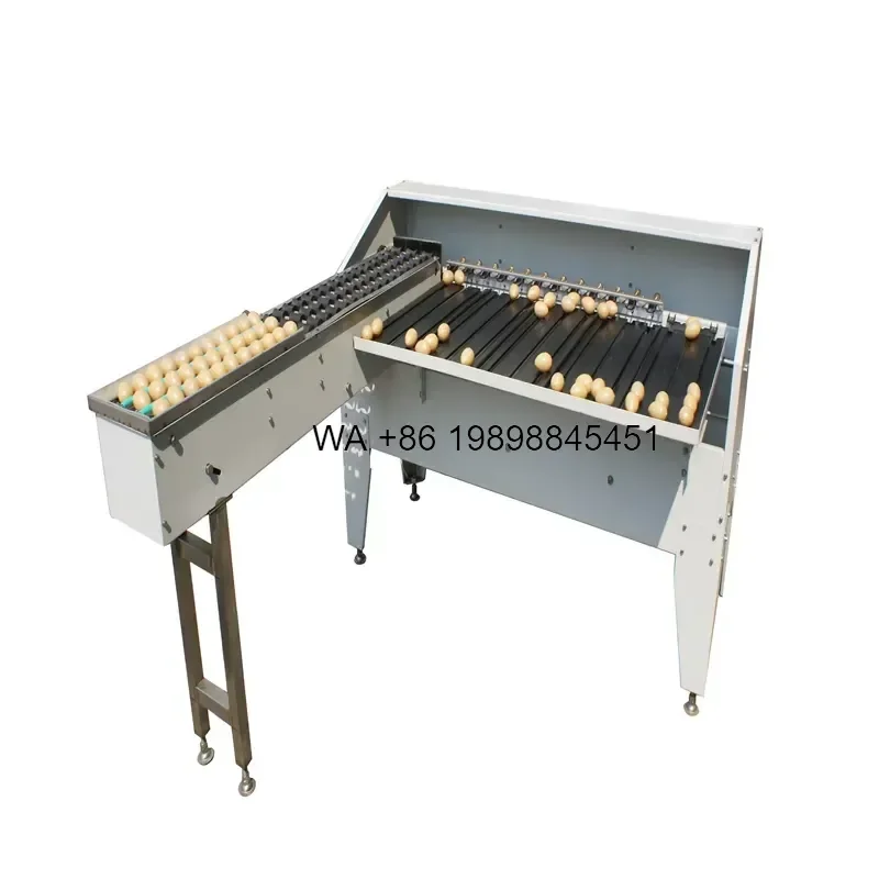 Wmwmnu for Chicken Egg Weight Grading Eggs Sorting with Advanced Design