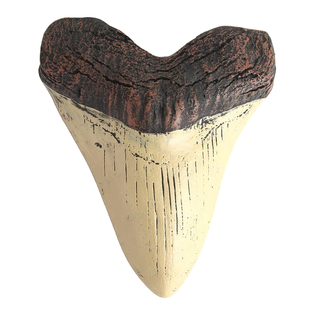 Home Decoration Resin Shark Teeth 5inch Giant Megalodon Tooth Marine Bology Teaching Props Beige Shark Teeth Fossil Best Gifts