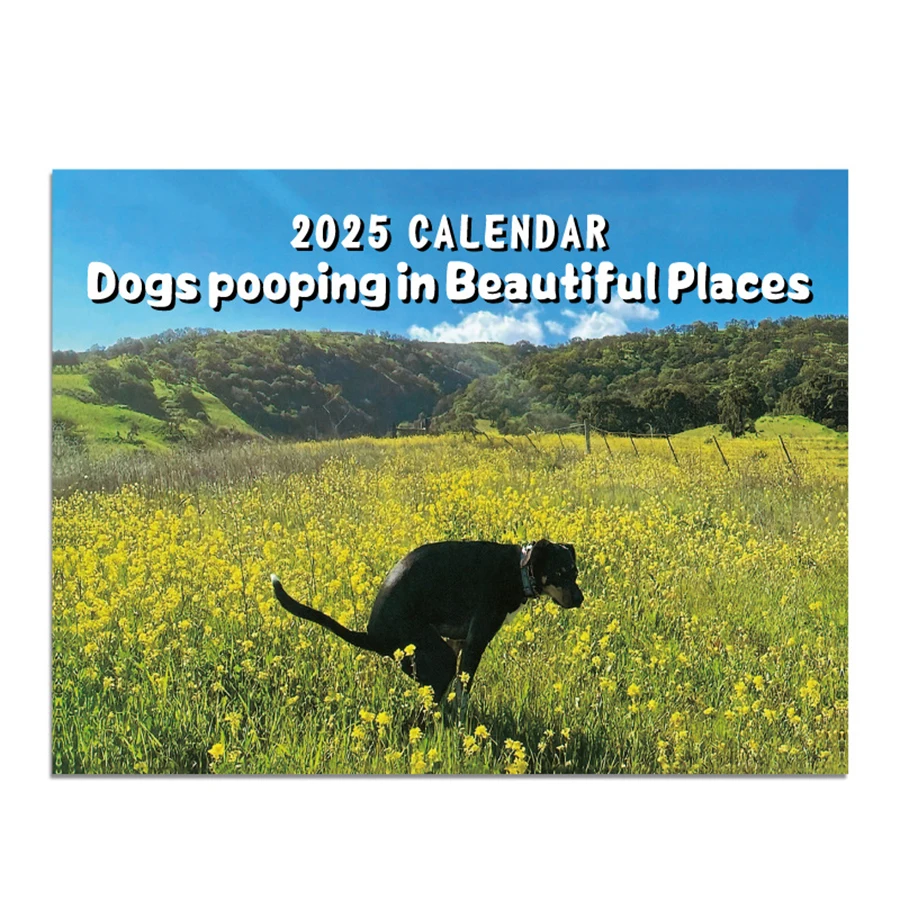 2025 Calendar Creative Illustration Shit Calendar High Quality Wall-Hanging Daily Weekly Monthly Plan Calendar Christmas Gift