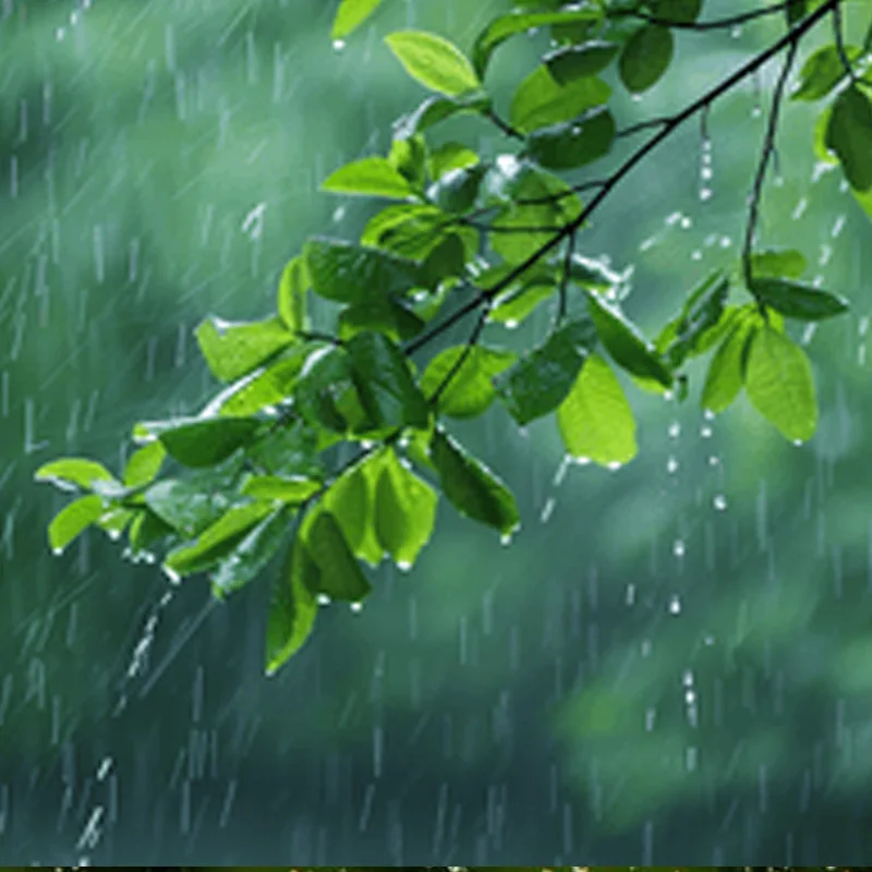 

Строительный блок Только для друзей~