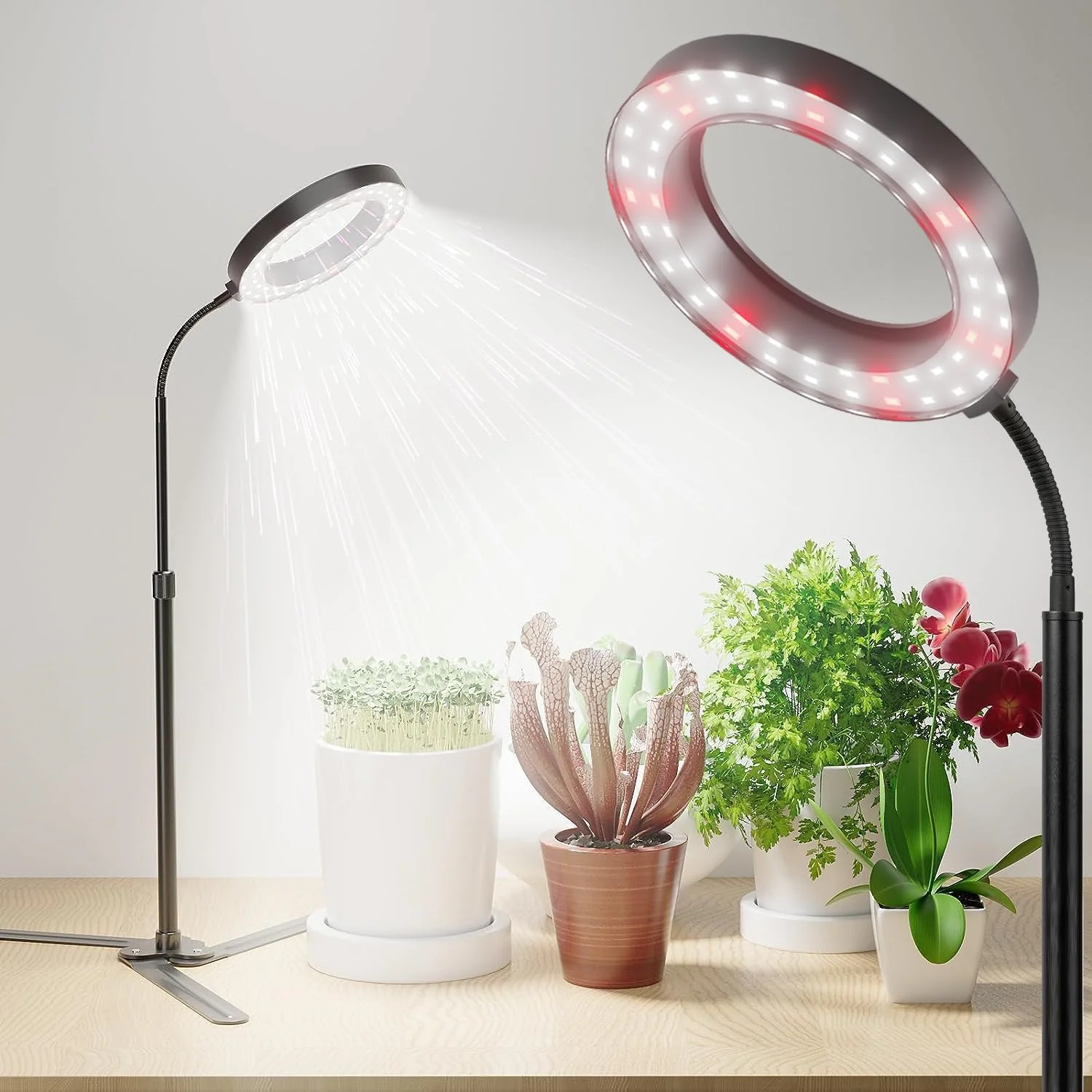 Full Spectrum Plant Growing Lamp USB 5V Home Office Indoor Plants Growth Lighting Adjustable Height Auto Timer 4/8/12/18Hours