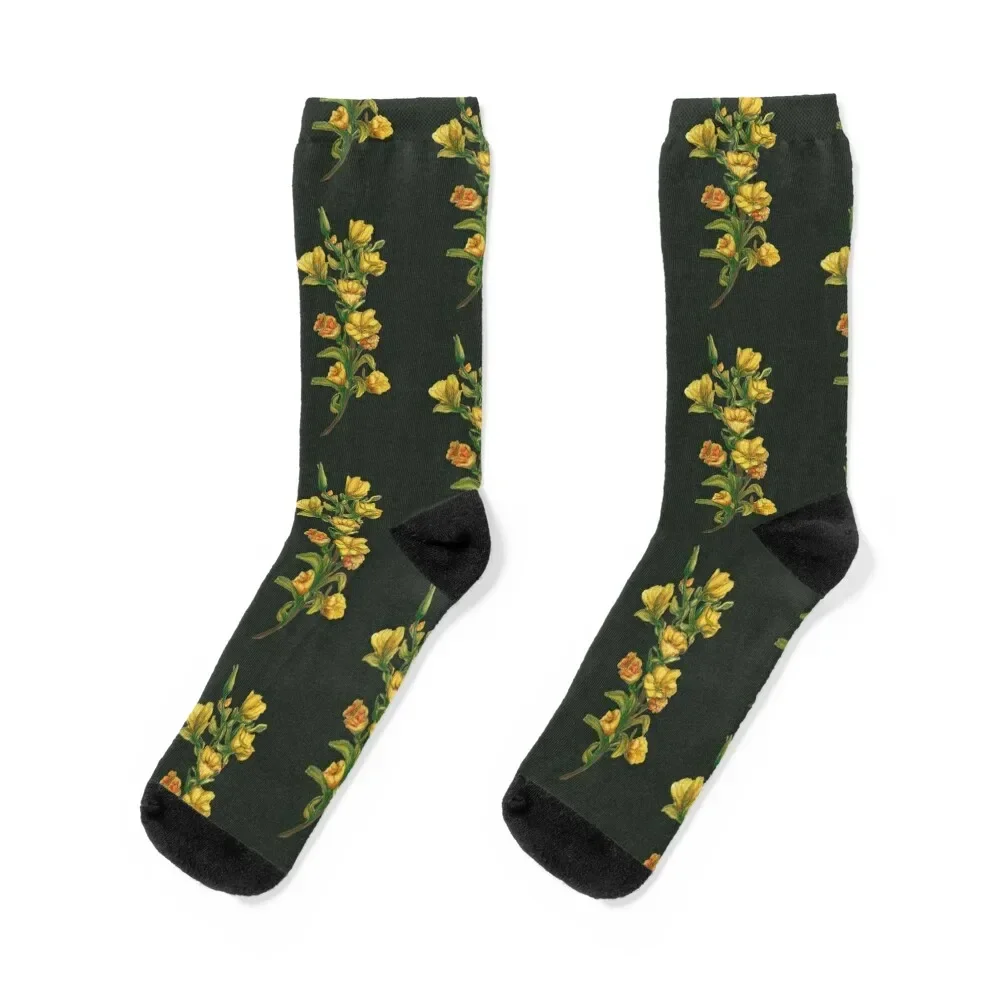 snapdragon - yellow flower gouache painting Socks Christmas Stockings man Socks For Girls Men's