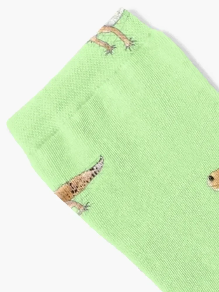 Geckos Socks essential Run hip hop Crossfit Socks For Man Women's