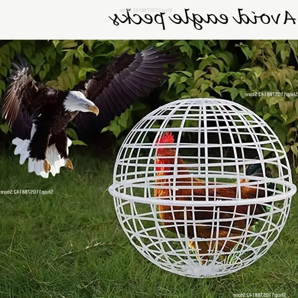 2027 Outdoor Walkable Rolling Chicken Ball Cage Portable Poultry Run Coop Anti-escape Enclosure For Duck Goose Small Pets