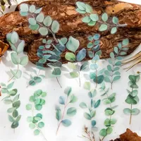 15Pcs Diary Decoration Waterproof Vintage Fern Sticker Set For Journal Transparent Nature Leaves Stickers Scrapbook 150*105MM