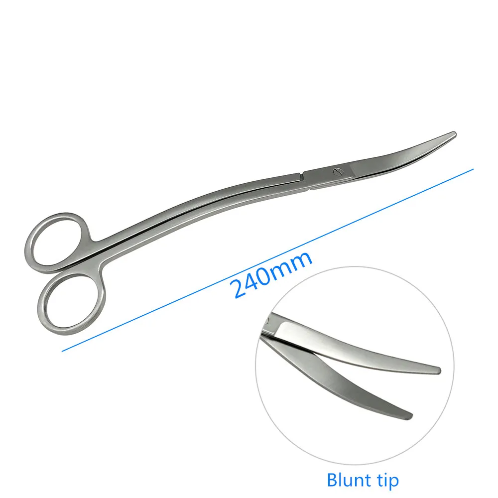 Stainless Steel Curved Beauty Scissors Cut Tissue Scissor Ophthalmic Scisors Dental Surgical Scissors