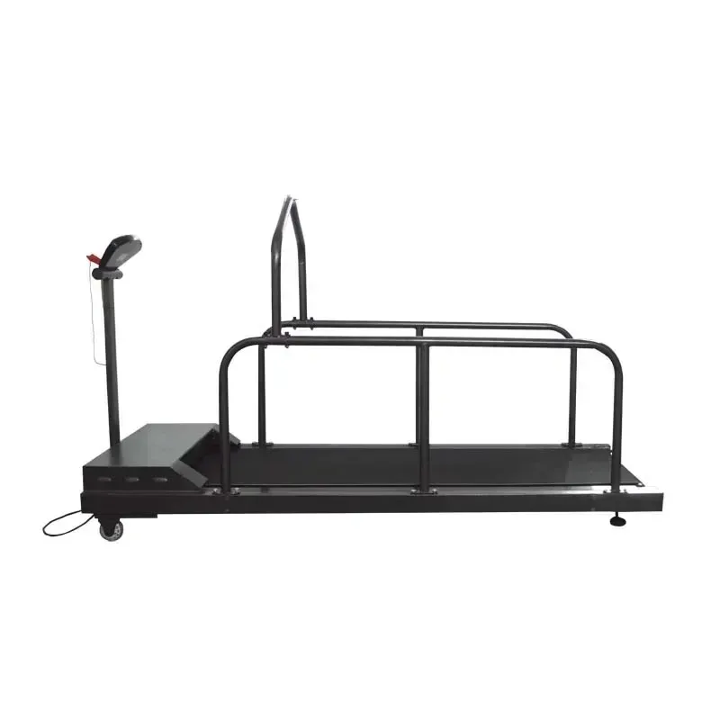 Dog Treadmill Pet Exercise Equipment for Canine Running 220V/110V