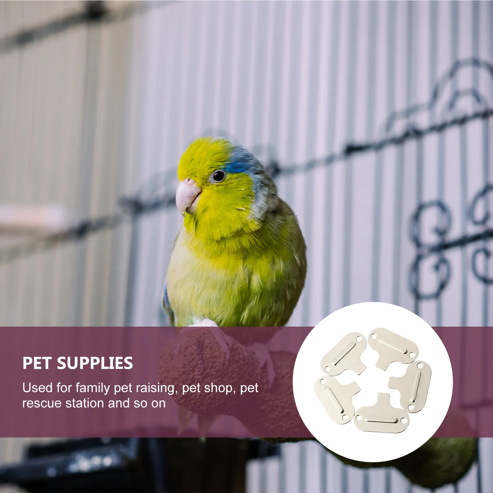 

Sturdy Plastic Bird Rack Parrot Bathing Stand Suction Cups Detachable Space Saving Pet Bird Supplies for Parrots