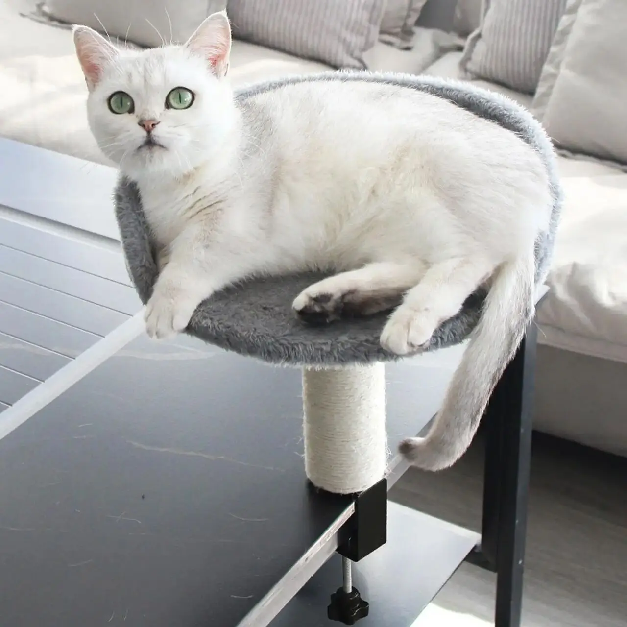 hamaca-para-gatos-con-base-y-abrazadera-para-escritorio-cama-colgante-con-soporte-para-gatos-superficie-comoda-para-dormir