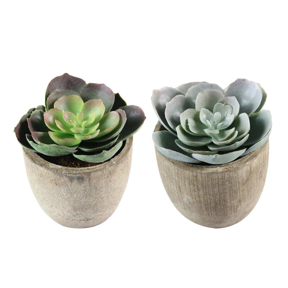 

2Pcs Fake Bonsai Plastic Succculent Premium Realistic Desktop Faux Succulent Shelf Room Bedroom Office Gift