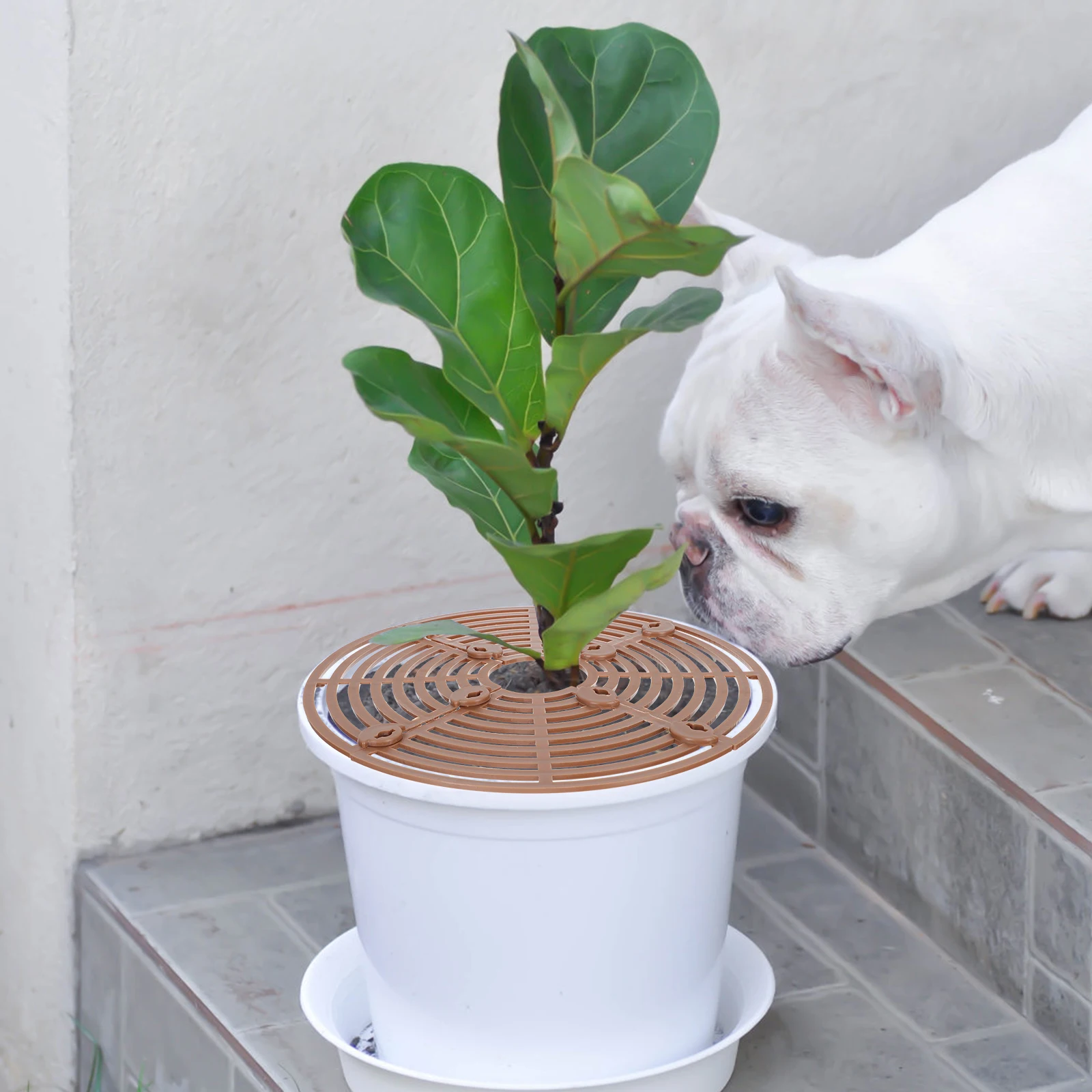 

Flower Pot Garden Flowerpot Plastic Cover Waterproof Soil Protector For Plant Pot Mesh Grid Mat Screen Indoor Outdoor Garden