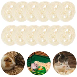 20pcs Pet Molar Toy Loofah Design Small Animals Dental Health Biting Chew Toy Natural Material Rabbit Chew Toys Handmade Shape