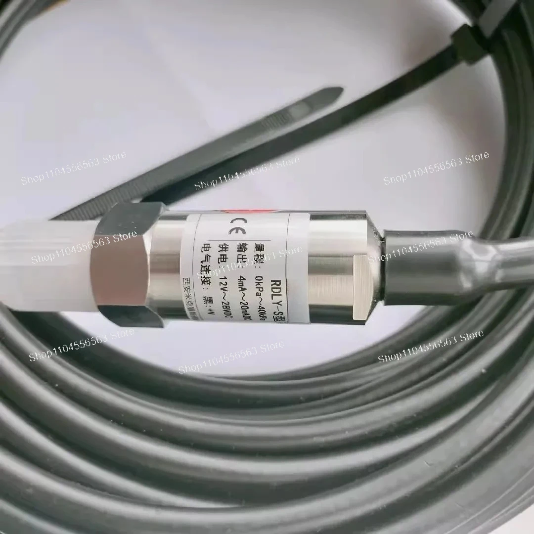 Marine-Grade Explosion-Proof & Waterproof Submersible Pressure Transmitter RDLY-S-2 for Shipboard Monitoring Systems
