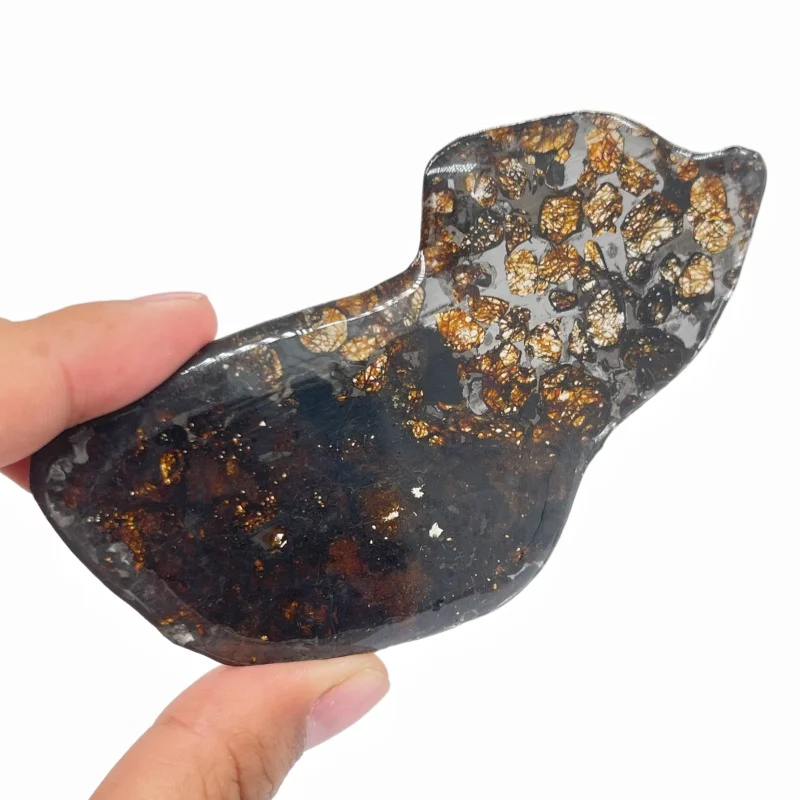 Natural Sericho Pallasite Olive Meteorite Slice Polished Irregular Meteorite Mineral Specimen For Collection Display QA900