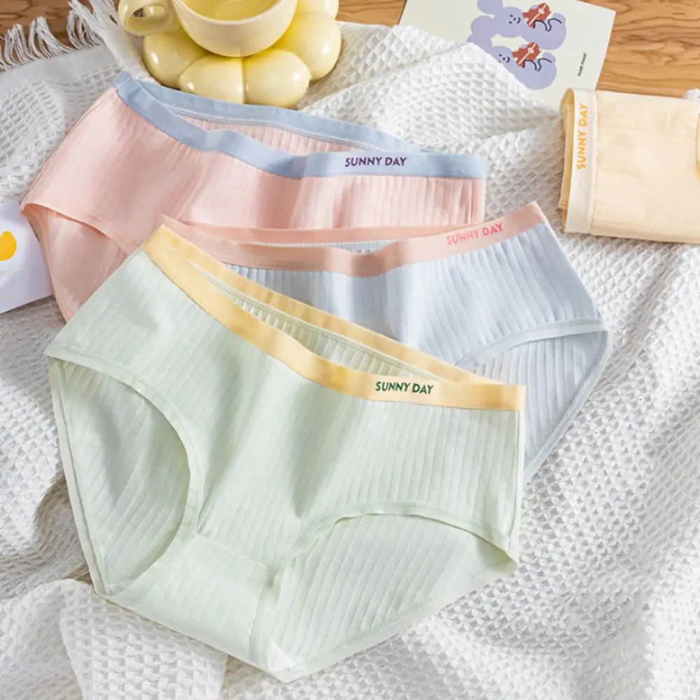 

4Pcs Intimates Cotton Crotch Simple Briefs Letter Mid Waist Underwear for Women Panties Candy Color Stripe Underpants Gifts