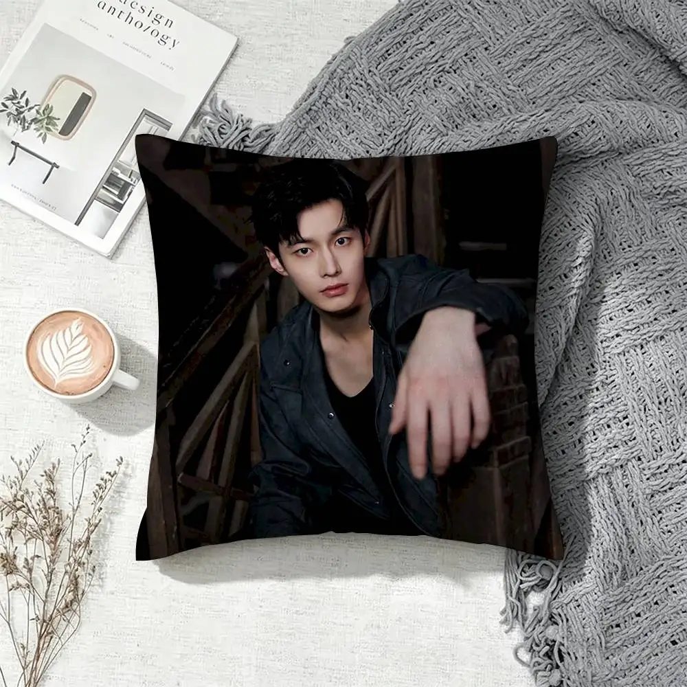 Y-Youth Campus Novel He Yu Jin Chao  Square Pillow Case Multi Sizes For Car Home Bedroom Decor Custom Valentine Gifts