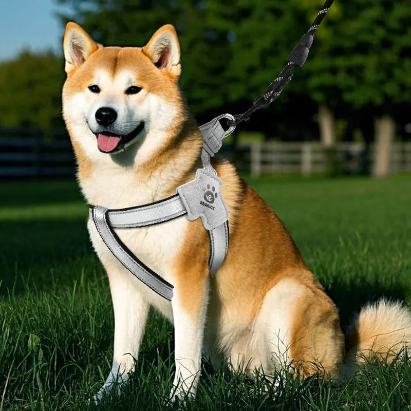 

No-Pull Dog Harness with Leash, Reflective Pet Vest for Small Medium Dogs, Anti-Pull Walking Lead for Shiba Inu, Teddy, Poodle