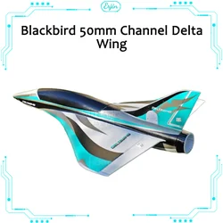 Blackbird Delta Wing 50, pilot samolotu, pilot zdalnego sterowania, model samolotu z pianki epoksydowej, nowy telefon komórkowy