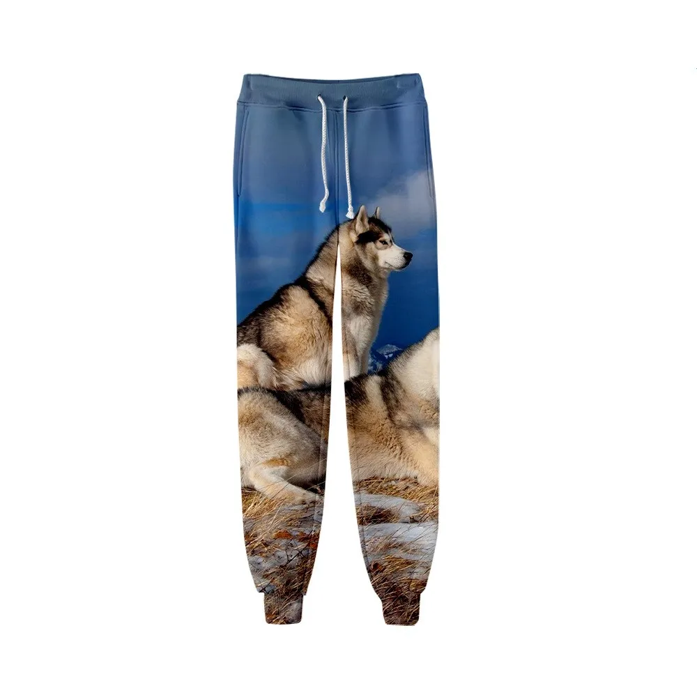 New Animal Dog Husky 3D Print Causal Clothing Fashion Men Women Tracksuits Crewneck Hip Hop Pants Plus Size S-7XL Joggers Men