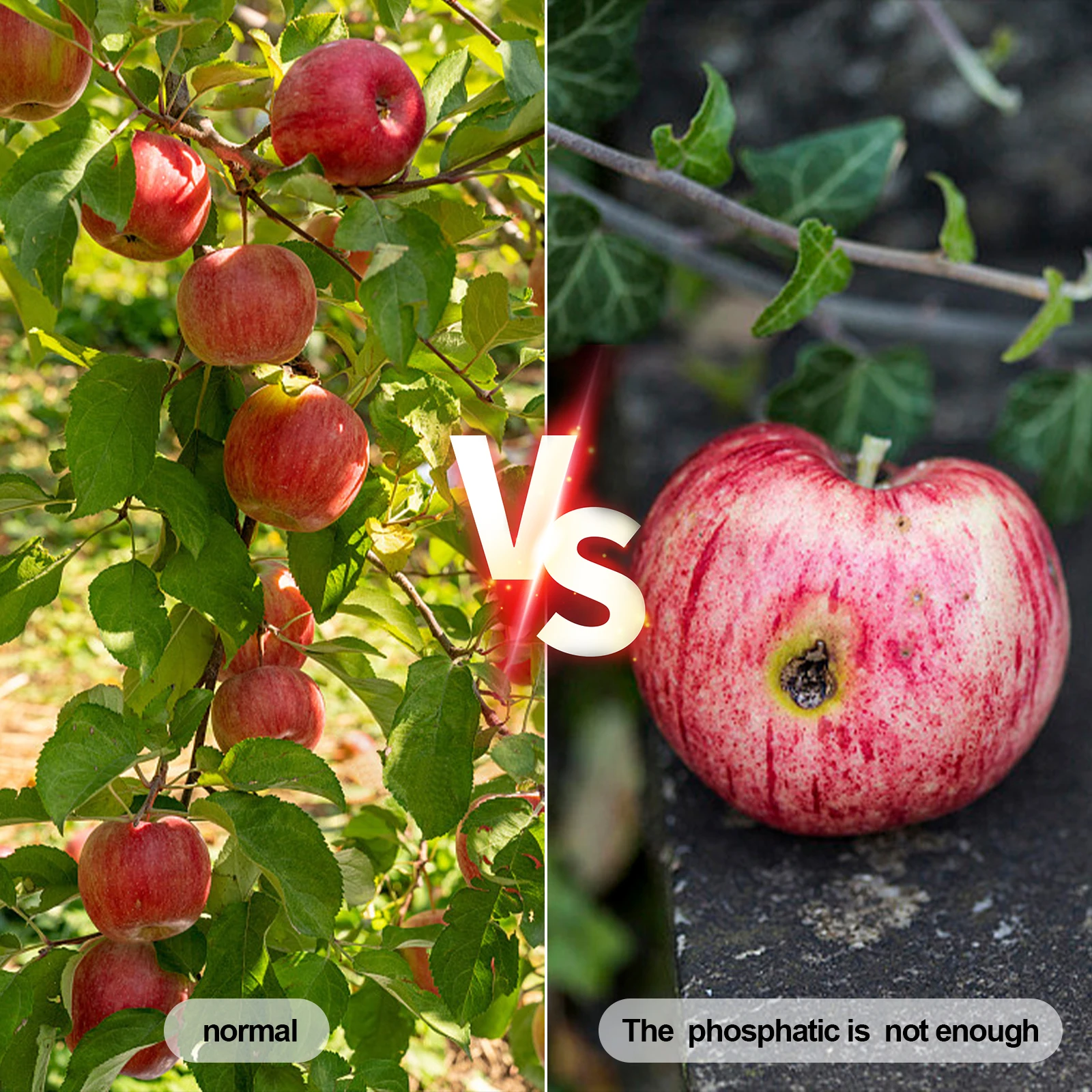 Tester del sensore del terreno Npk per piante da giardino, analizzatore del terreno per Npk, dispositivo del terreno npk